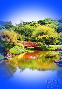 Japanese Gardens Toowoomba-2